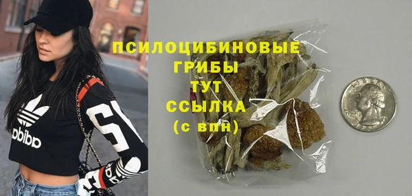 стаф Беломорск