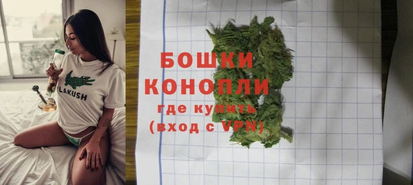 стаф Беломорск