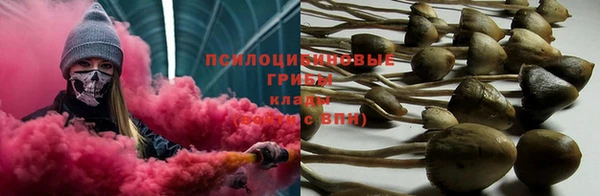 кокаин колумбия Белокуриха