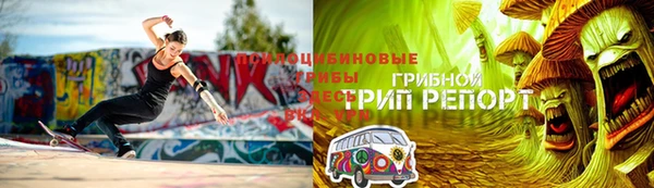стаф Беломорск