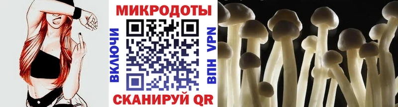 Галлюциногенные грибы Psilocybine cubensis  мега ТОР  Чернушка 