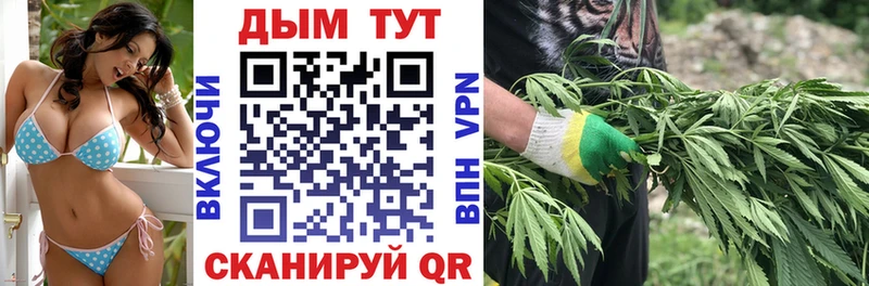 МАРИХУАНА SATIVA & INDICA  купить  цена  Чернушка 