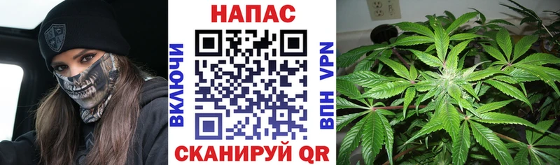 Шишки марихуана марихуана Чернушка